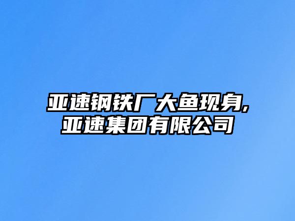 亞速鋼鐵廠大魚現(xiàn)身,亞速集團有限公司