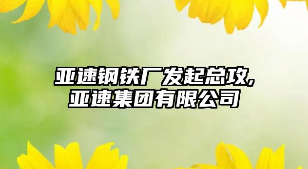 亞速鋼鐵廠發(fā)起總攻,亞速集團(tuán)有限公司