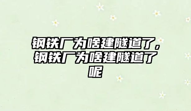 鋼鐵廠為啥建隧道了,鋼鐵廠為啥建隧道了呢