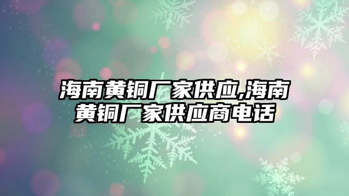 海南黃銅廠家供應(yīng),海南黃銅廠家供應(yīng)商電話