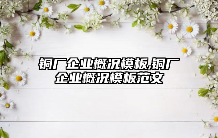 銅廠企業(yè)概況模板,銅廠企業(yè)概況模板范文