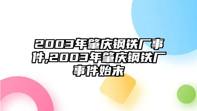 2003年肇慶鋼鐵廠事件,2003年肇慶鋼鐵廠事件始末