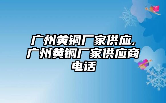 廣州黃銅廠家供應(yīng),廣州黃銅廠家供應(yīng)商電話