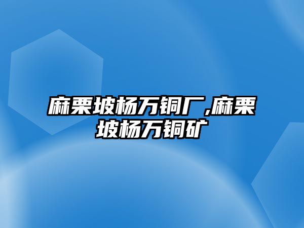 麻栗坡楊萬銅廠,麻栗坡楊萬銅礦