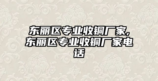 東麗區(qū)專業(yè)收銅廠家,東麗區(qū)專業(yè)收銅廠家電話