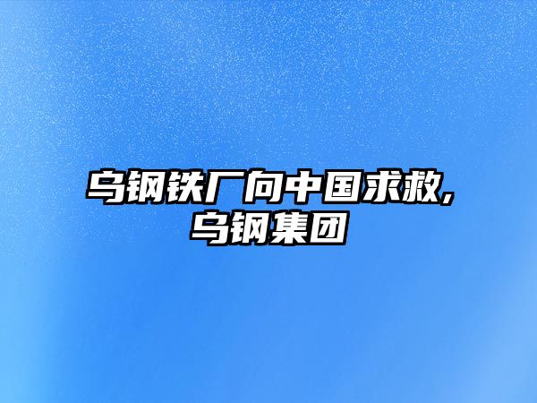 烏鋼鐵廠向中國求救,烏鋼集團(tuán)