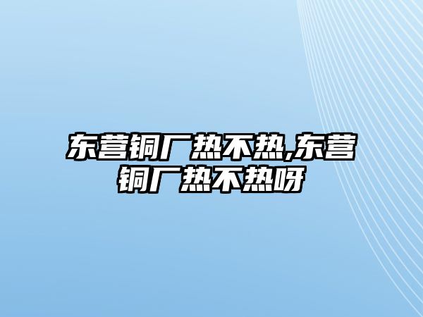 東營(yíng)銅廠熱不熱,東營(yíng)銅廠熱不熱呀