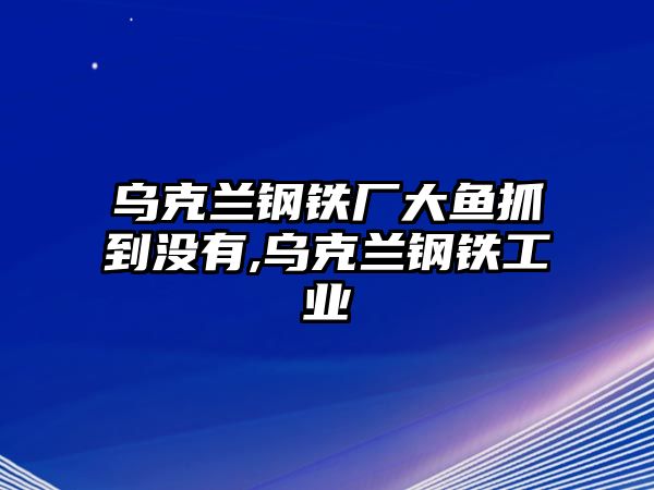 烏克蘭鋼鐵廠大魚抓到?jīng)]有,烏克蘭鋼鐵工業(yè)