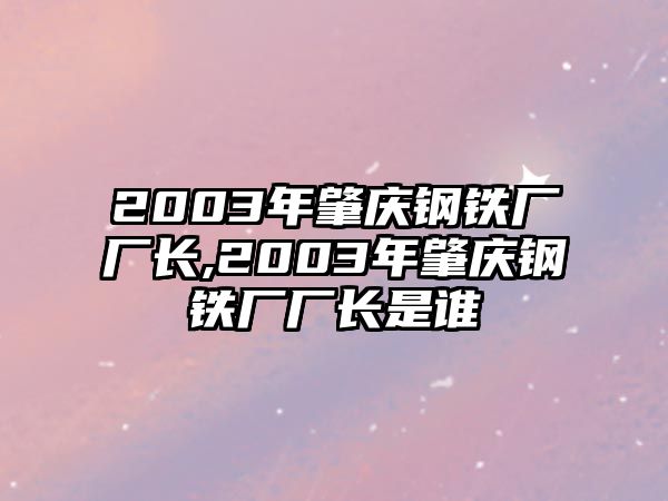 2003年肇慶鋼鐵廠廠長(zhǎng),2003年肇慶鋼鐵廠廠長(zhǎng)是誰