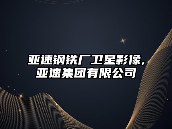 亞速鋼鐵廠衛(wèi)星影像,亞速集團有限公司