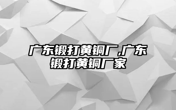 廣東鍛打黃銅廠,廣東鍛打黃銅廠家