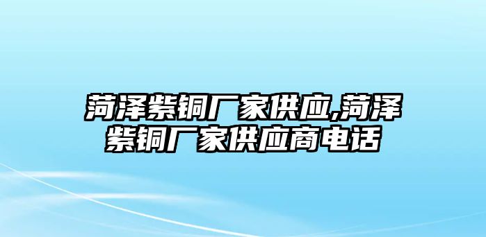 菏澤紫銅廠家供應,菏澤紫銅廠家供應商電話