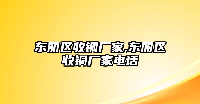 東麗區(qū)收銅廠家,東麗區(qū)收銅廠家電話