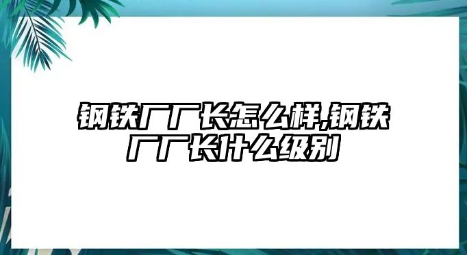 鋼鐵廠廠長怎么樣,鋼鐵廠廠長什么級別