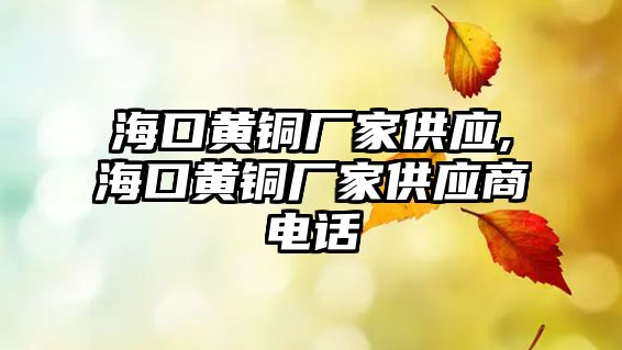 ?？邳S銅廠家供應(yīng),海口黃銅廠家供應(yīng)商電話