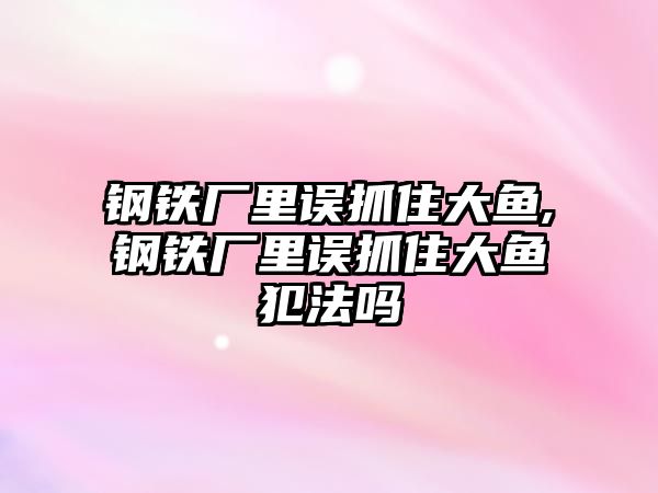 鋼鐵廠里誤抓住大魚,鋼鐵廠里誤抓住大魚犯法嗎