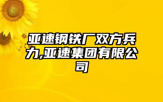 亞速鋼鐵廠雙方兵力,亞速集團有限公司