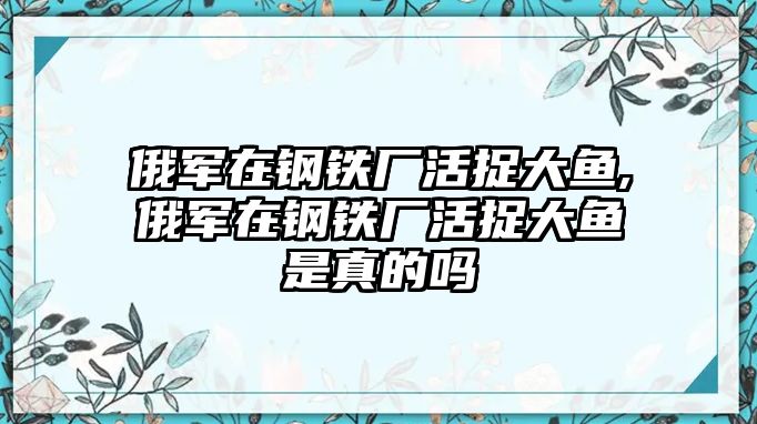 俄軍在鋼鐵廠活捉大魚(yú),俄軍在鋼鐵廠活捉大魚(yú)是真的嗎