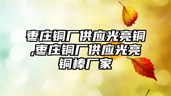 棗莊銅廠供應(yīng)光亮銅,棗莊銅廠供應(yīng)光亮銅棒廠家