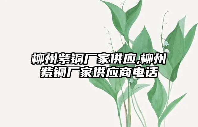 柳州紫銅廠家供應,柳州紫銅廠家供應商電話