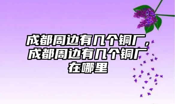 成都周邊有幾個(gè)銅廠,成都周邊有幾個(gè)銅廠在哪里