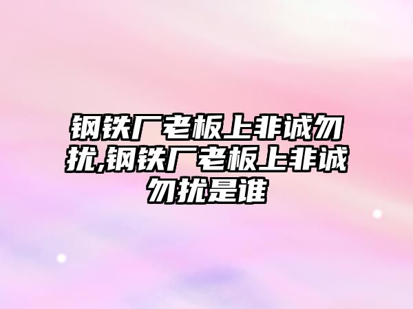 鋼鐵廠老板上非誠勿擾,鋼鐵廠老板上非誠勿擾是誰