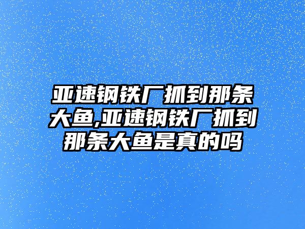 亞速鋼鐵廠抓到那條大魚,亞速鋼鐵廠抓到那條大魚是真的嗎