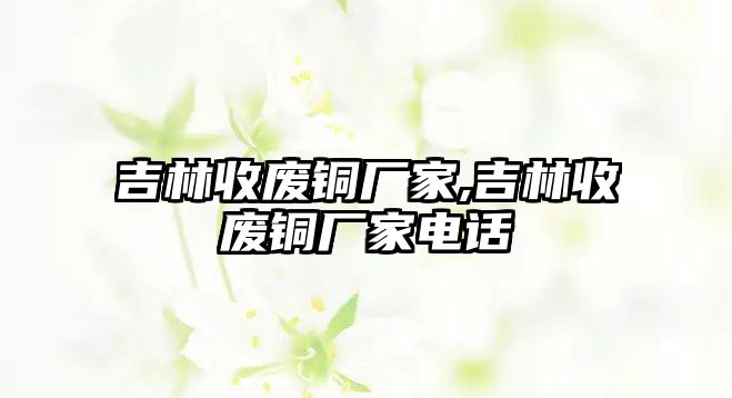 吉林收廢銅廠家,吉林收廢銅廠家電話