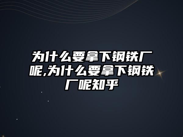 為什么要拿下鋼鐵廠呢,為什么要拿下鋼鐵廠呢知乎