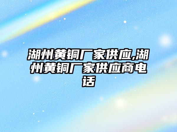 湖州黃銅廠家供應,湖州黃銅廠家供應商電話