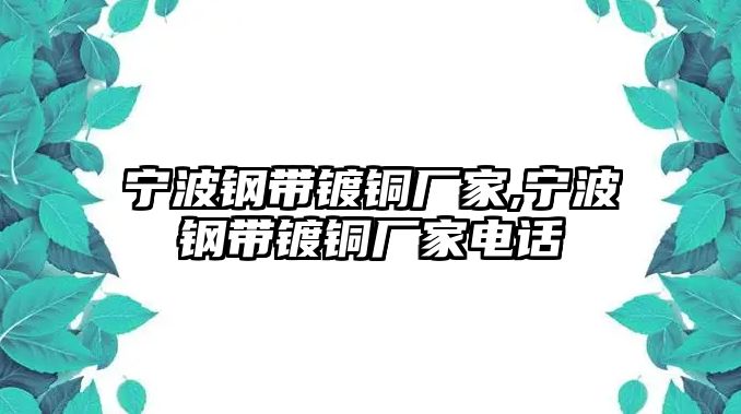 寧波鋼帶鍍銅廠家,寧波鋼帶鍍銅廠家電話