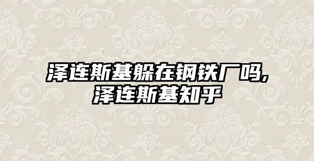 澤連斯基躲在鋼鐵廠嗎,澤連斯基知乎