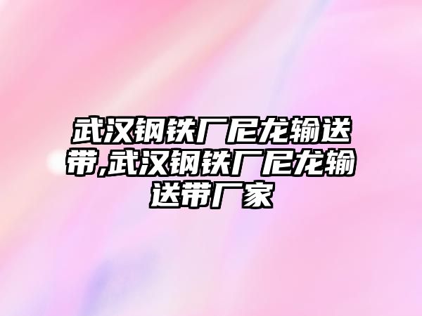 武漢鋼鐵廠尼龍輸送帶,武漢鋼鐵廠尼龍輸送帶廠家