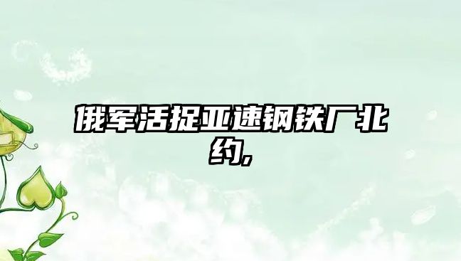 俄軍活捉亞速鋼鐵廠北約,