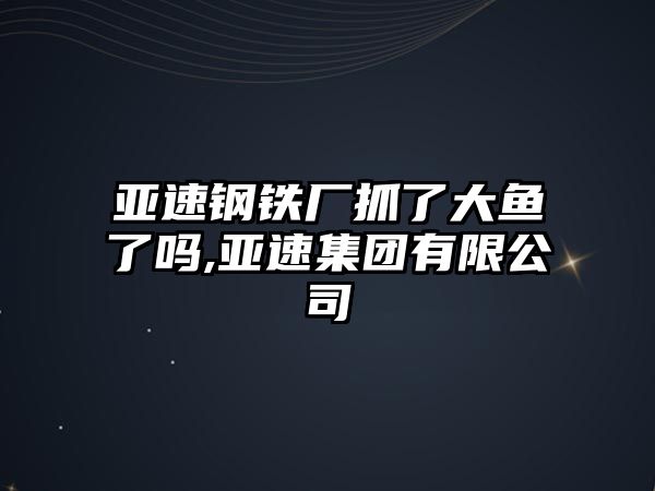 亞速鋼鐵廠抓了大魚了嗎,亞速集團(tuán)有限公司