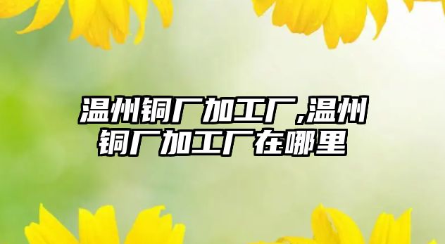 溫州銅廠加工廠,溫州銅廠加工廠在哪里