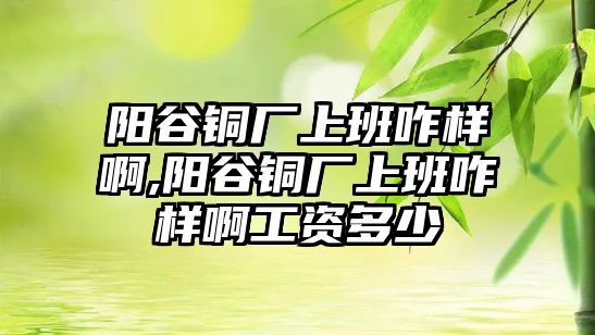 陽谷銅廠上班咋樣啊,陽谷銅廠上班咋樣啊工資多少