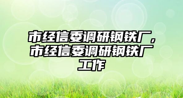 市經(jīng)信委調研鋼鐵廠,市經(jīng)信委調研鋼鐵廠工作