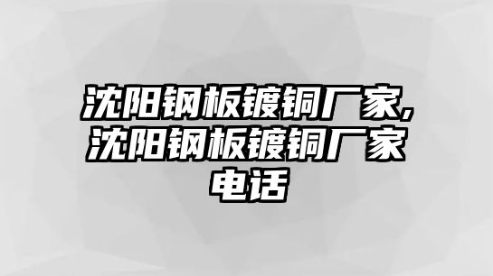 沈陽鋼板鍍銅廠家,沈陽鋼板鍍銅廠家電話