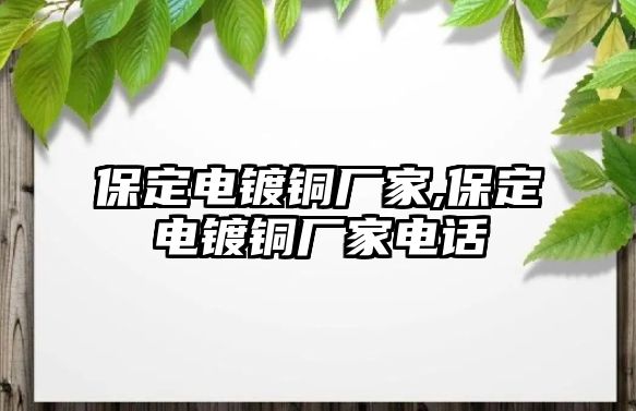 保定電鍍銅廠家,保定電鍍銅廠家電話