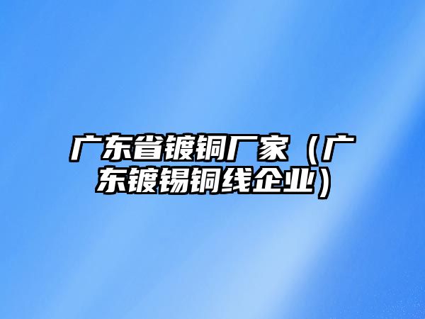 廣東省鍍銅廠家（廣東鍍錫銅線企業(yè)）