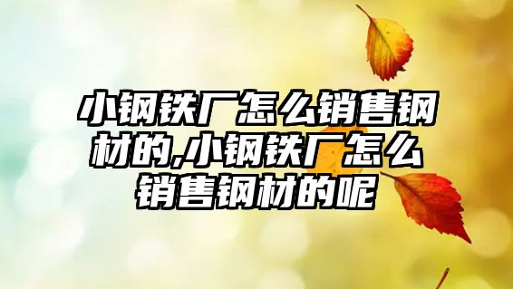 小鋼鐵廠怎么銷售鋼材的,小鋼鐵廠怎么銷售鋼材的呢