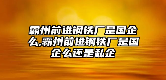 霸州前進(jìn)鋼鐵廠是國(guó)企么,霸州前進(jìn)鋼鐵廠是國(guó)企么還是私企