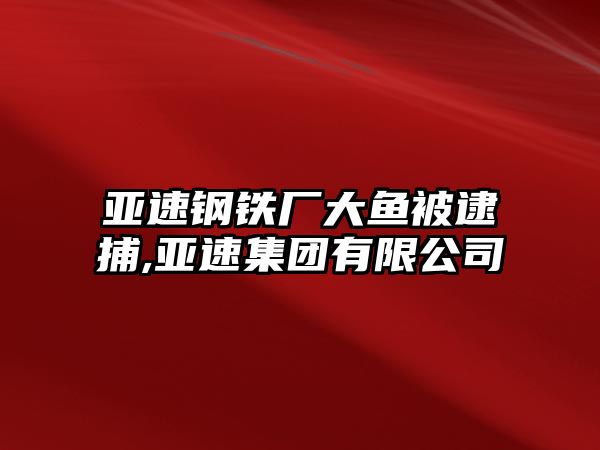 亞速鋼鐵廠大魚被逮捕,亞速集團有限公司