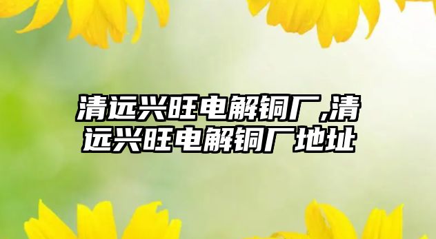 清遠(yuǎn)興旺電解銅廠,清遠(yuǎn)興旺電解銅廠地址