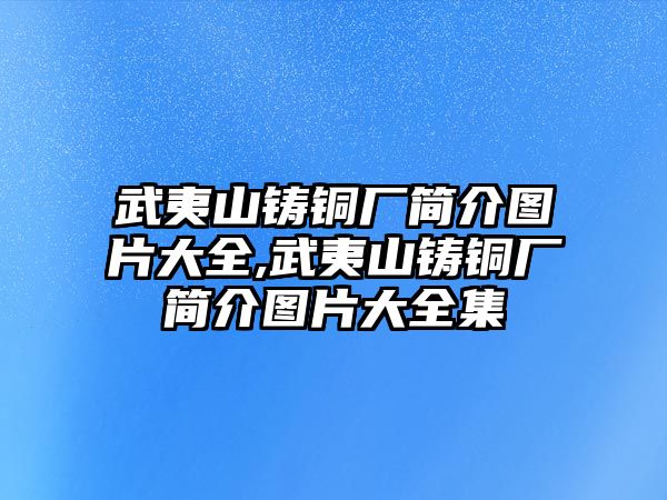 武夷山鑄銅廠簡介圖片大全,武夷山鑄銅廠簡介圖片大全集