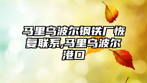 馬里烏波爾鋼鐵廠恢復(fù)聯(lián)系,馬里烏波爾港口