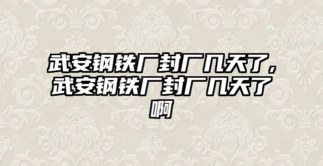 武安鋼鐵廠封廠幾天了,武安鋼鐵廠封廠幾天了啊