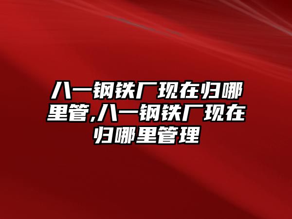 八一鋼鐵廠現在歸哪里管,八一鋼鐵廠現在歸哪里管理