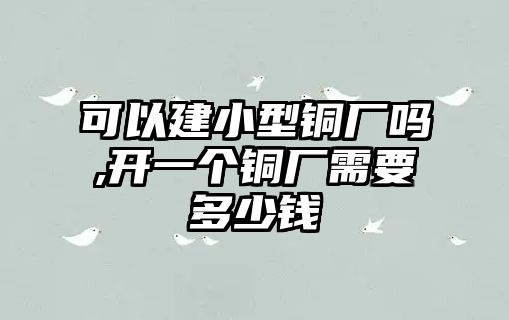 可以建小型銅廠嗎,開一個(gè)銅廠需要多少錢